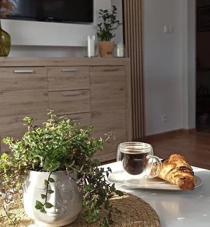 Izabela شكلارسكا بوريبا