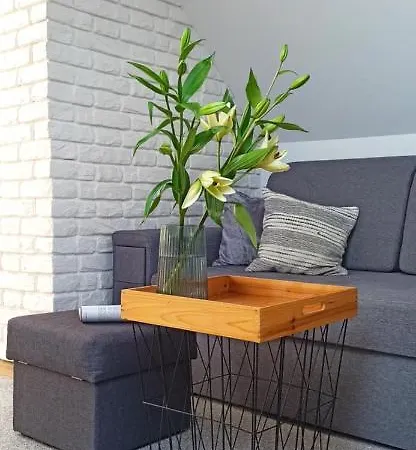 Izabela Apartmán Sklářská Poruba
